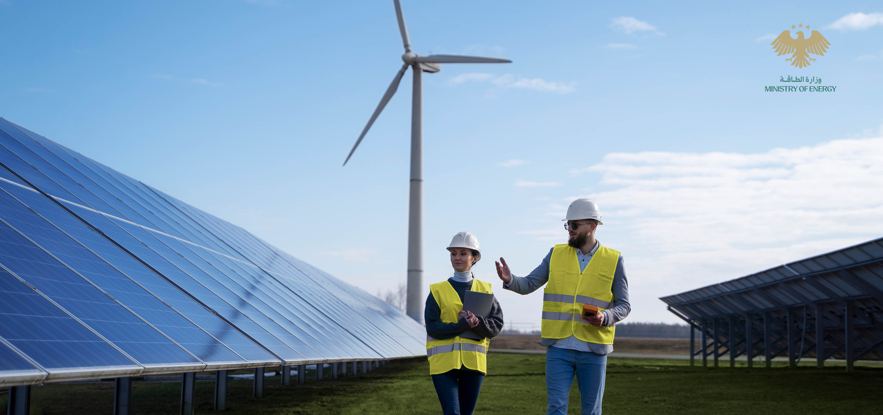 Electricity sector management
